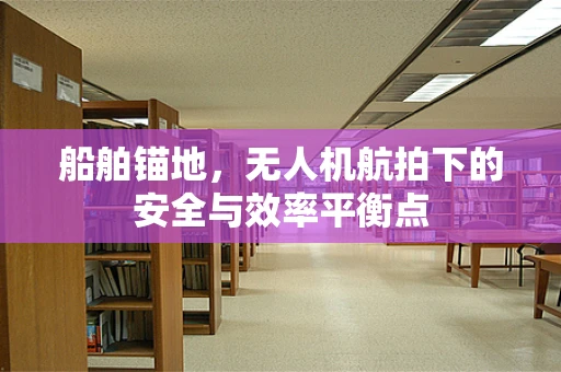 船舶锚地，无人机航拍下的安全与效率平衡点