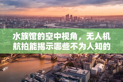 水族馆的空中视角，无人机航拍能揭示哪些不为人知的秘密？