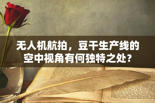 无人机航拍，豆干生产线的空中视角有何独特之处？