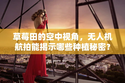草莓田的空中视角，无人机航拍能揭示哪些种植秘密？