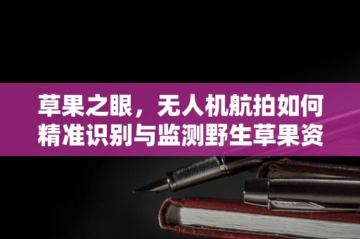 草果之眼，无人机航拍如何精准识别与监测野生草果资源？