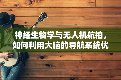 神经生物学与无人机航拍，如何利用大脑的导航系统优化飞行路径？