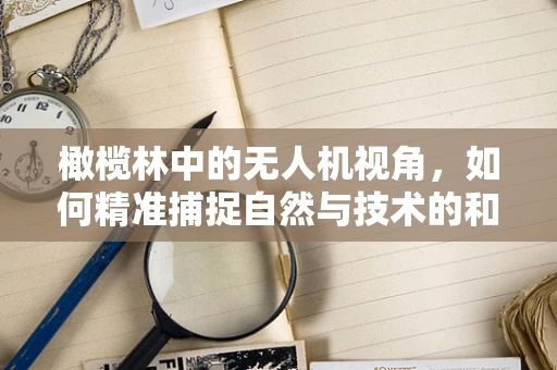 橄榄林中的无人机视角，如何精准捕捉自然与技术的和谐共生？