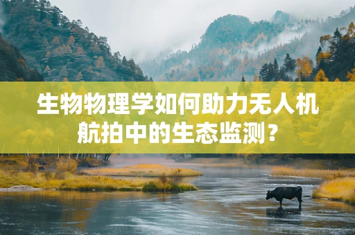 生物物理学如何助力无人机航拍中的生态监测？