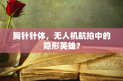 胸针针体，无人机航拍中的隐形英雄？