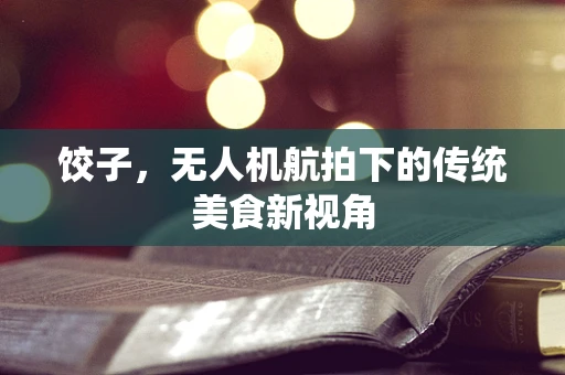 饺子，无人机航拍下的传统美食新视角