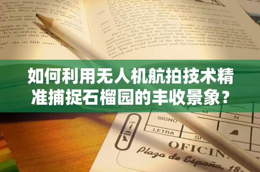 如何利用无人机航拍技术精准捕捉石榴园的丰收景象？