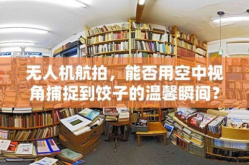 无人机航拍，能否用空中视角捕捉到饺子的温馨瞬间？