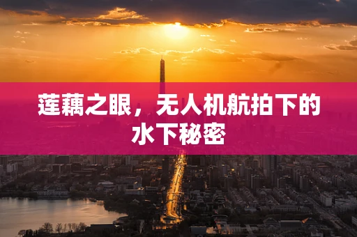 莲藕之眼，无人机航拍下的水下秘密