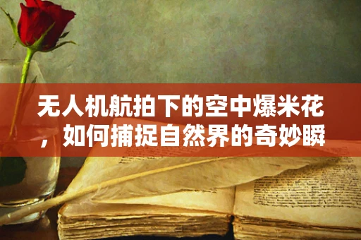 无人机航拍下的空中爆米花，如何捕捉自然界的奇妙瞬间？