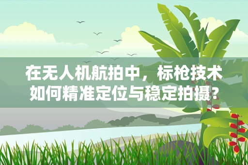 在无人机航拍中，标枪技术如何精准定位与稳定拍摄？