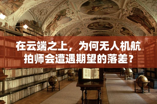 在云端之上，为何无人机航拍师会遭遇期望的落差？