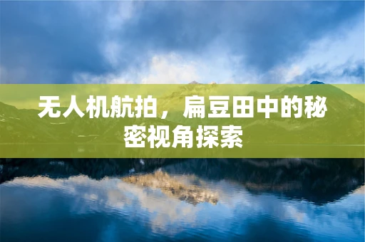 无人机航拍，扁豆田中的秘密视角探索