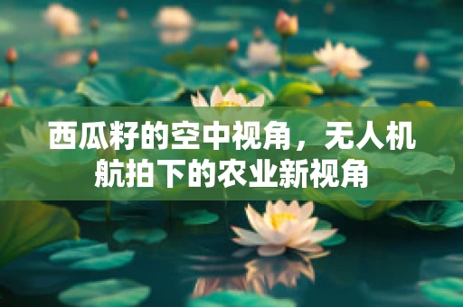 西瓜籽的空中视角，无人机航拍下的农业新视角