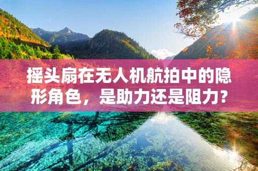 摇头扇在无人机航拍中的隐形角色，是助力还是阻力？