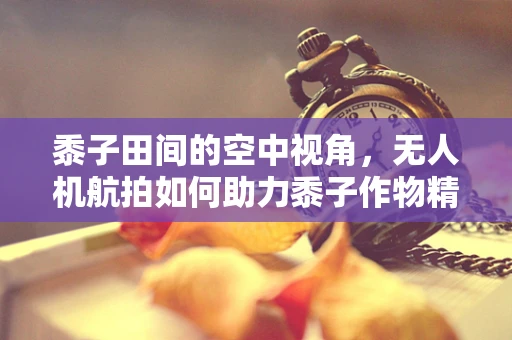 黍子田间的空中视角，无人机航拍如何助力黍子作物精准管理？