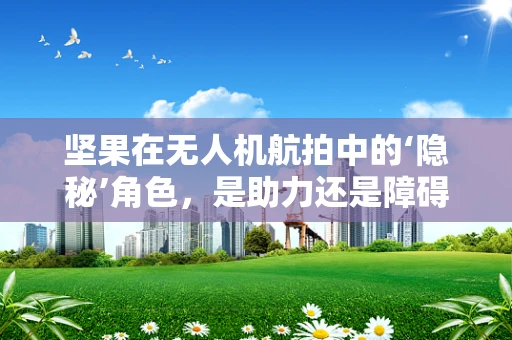 坚果在无人机航拍中的‘隐秘’角色，是助力还是障碍？