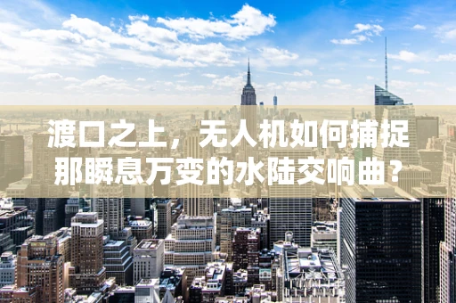 渡口之上，无人机如何捕捉那瞬息万变的水陆交响曲？