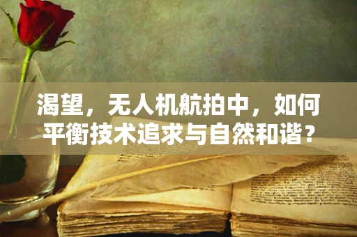 渴望，无人机航拍中，如何平衡技术追求与自然和谐？