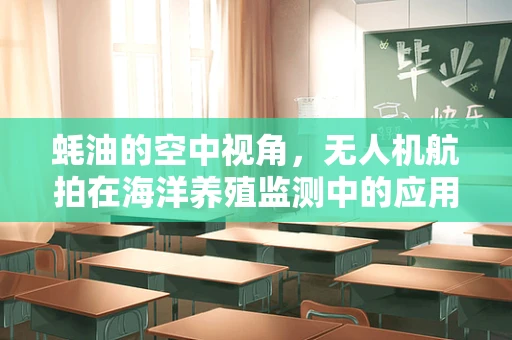 蚝油的空中视角，无人机航拍在海洋养殖监测中的应用与挑战？