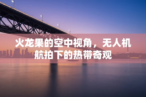 火龙果的空中视角，无人机航拍下的热带奇观