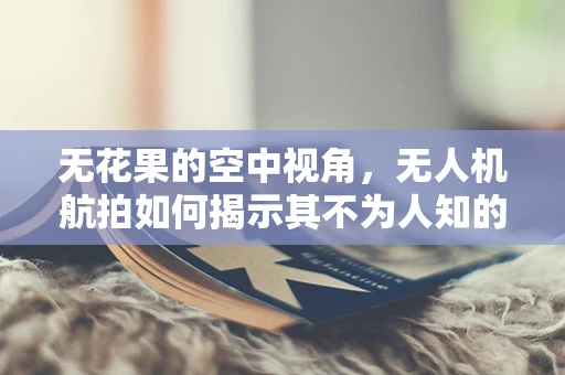 无花果的空中视角，无人机航拍如何揭示其不为人知的生长秘密？