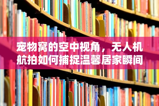 宠物窝的空中视角，无人机航拍如何捕捉温馨居家瞬间？