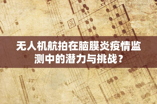 无人机航拍在脑膜炎疫情监测中的潜力与挑战？