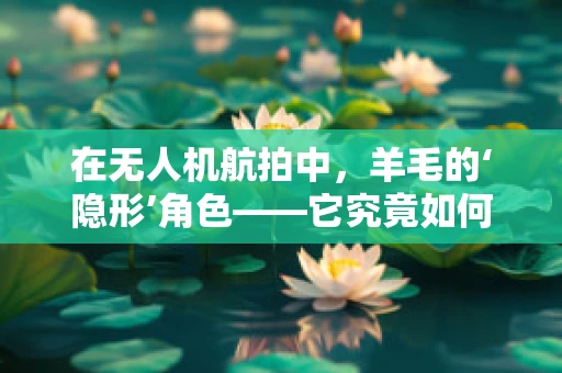 在无人机航拍中，羊毛的‘隐形’角色——它究竟如何影响飞行安全与画质？