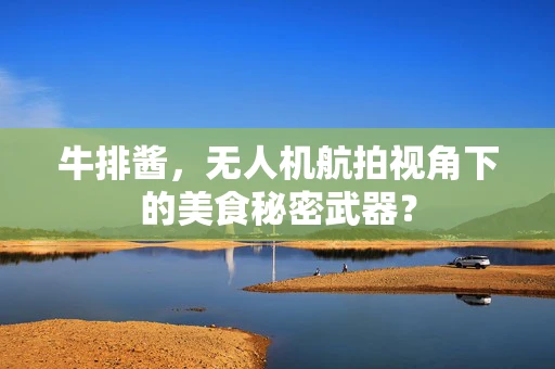 牛排酱，无人机航拍视角下的美食秘密武器？