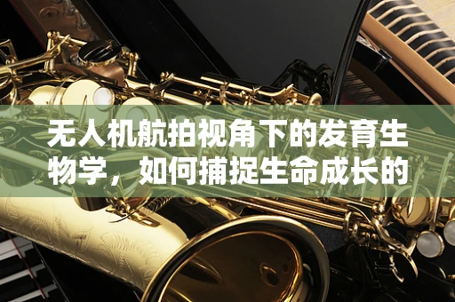 无人机航拍视角下的发育生物学，如何捕捉生命成长的空中奇缘？
