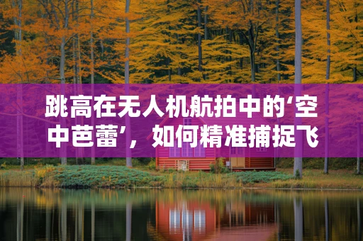 跳高在无人机航拍中的‘空中芭蕾’，如何精准捕捉飞跃瞬间？