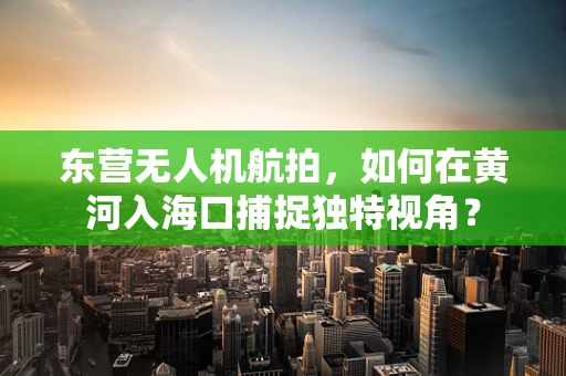 东营无人机航拍，如何在黄河入海口捕捉独特视角？