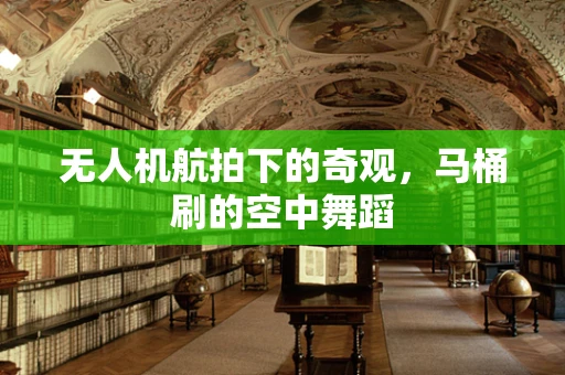 无人机航拍下的奇观，马桶刷的空中舞蹈