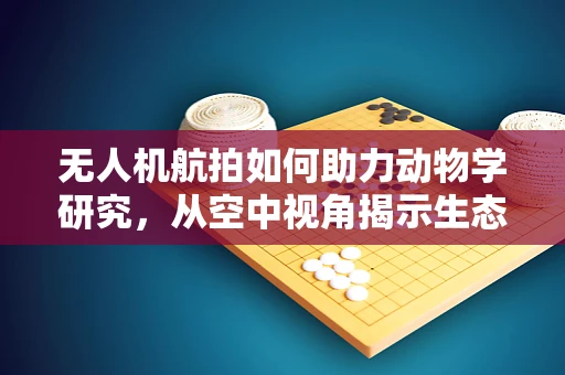 无人机航拍如何助力动物学研究，从空中视角揭示生态奥秘？