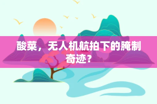 酸菜，无人机航拍下的腌制奇迹？