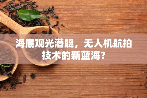 海底观光潜艇，无人机航拍技术的新蓝海？