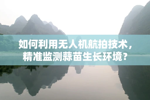 如何利用无人机航拍技术，精准监测蒜苗生长环境？
