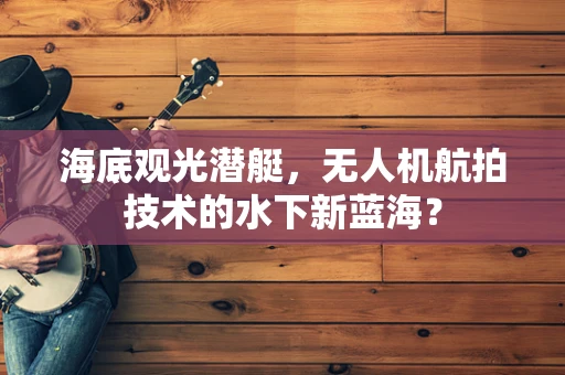 海底观光潜艇，无人机航拍技术的水下新蓝海？