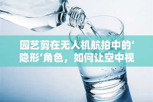 园艺剪在无人机航拍中的‘隐形’角色，如何让空中视角更精细？