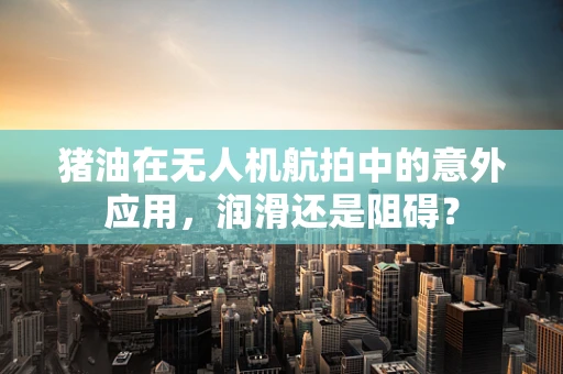 猪油在无人机航拍中的意外应用，润滑还是阻碍？