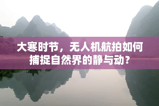大寒时节，无人机航拍如何捕捉自然界的静与动？
