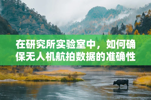 在研究所实验室中，如何确保无人机航拍数据的准确性与安全性？