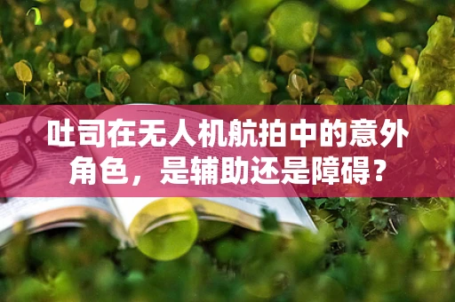吐司在无人机航拍中的意外角色，是辅助还是障碍？
