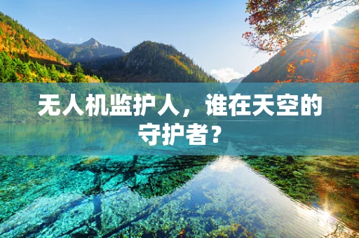 无人机监护人，谁在天空的守护者？