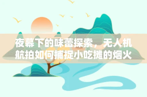 夜幕下的味蕾探索，无人机航拍如何捕捉小吃摊的烟火气息？