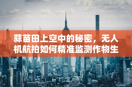 蒜苗田上空中的秘密，无人机航拍如何精准监测作物生长？