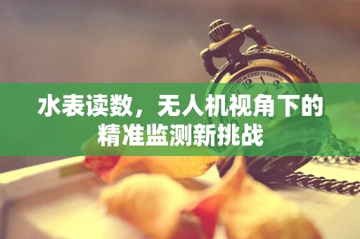 水表读数，无人机视角下的精准监测新挑战
