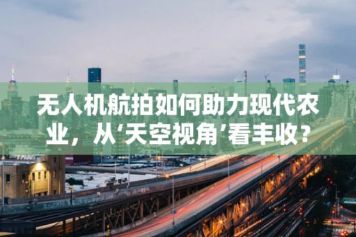 无人机航拍如何助力现代农业，从‘天空视角’看丰收？