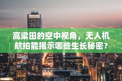 高粱田的空中视角，无人机航拍能揭示哪些生长秘密？